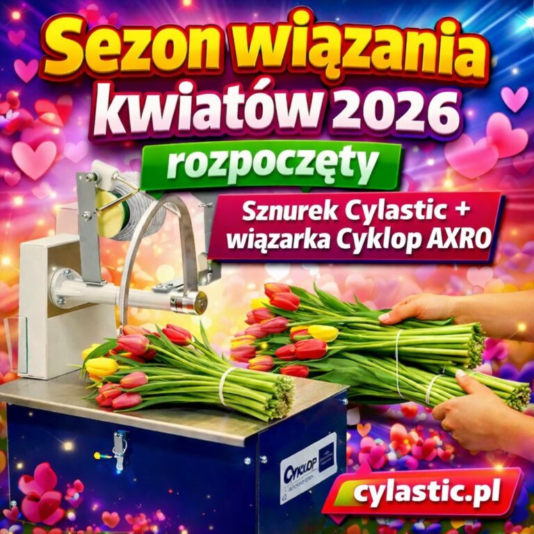 Sezon 2026 wiązania kwiatów ciętych w pęczki rozpoczęty